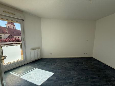 Location Appartement 2 pièces 50m² HUNINGUE 68330 - Photo 3