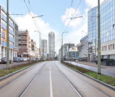 Den Haag, Seinpostduin, 2586EA - Photo 6