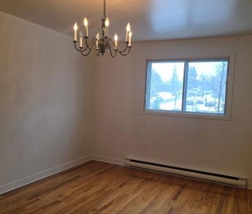4271 Rue d'Amos, app.2, H1H 1P5, H1H 1P5, Montréal - Photo 2