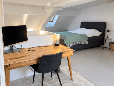 Duplex-/Maisonette-Wohnung zentral in Zürich mit Dachterrasse - Photo 3