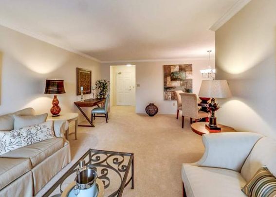 The Wisteria at the Royal Gardens - Photo 1