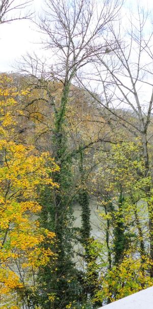 Jonction, Quai des Arenières, 3 rooms on the 4th floor - Photo 1