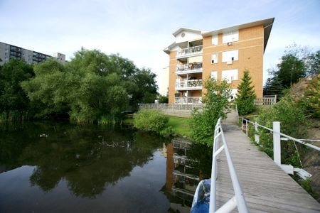 apartments at 1904 Paris Street - Photo 2