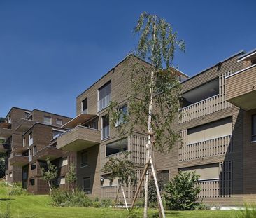 Hochwertige 3.5-Zimmer-Wohnung am Jurasüdfuss - Foto 1