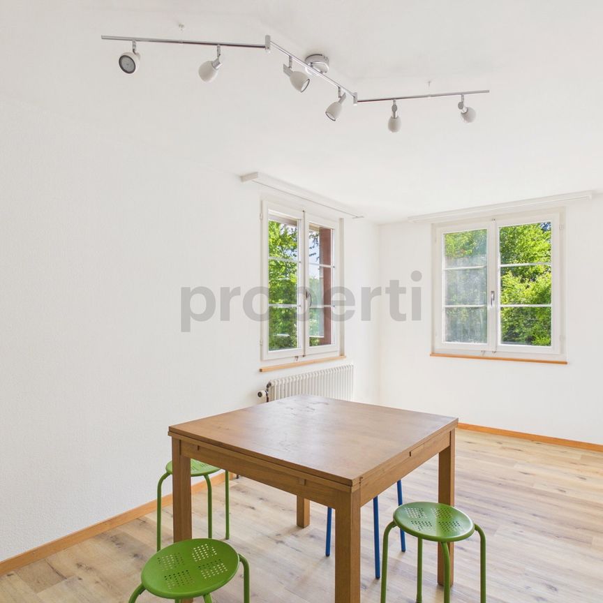 4.5 Zimmer, 120 m², 1. Stock - Foto 1