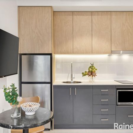 20/1-3 Hastings Street, Botany NSW 2019 - Studio For Rent | Domain - Photo 3