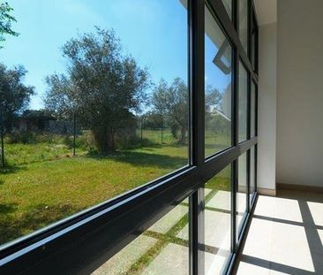 Quinta do Anjo, Setubal - Photo 1