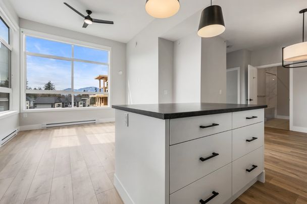 MCGILL - 205 - MG205 - Photo 1