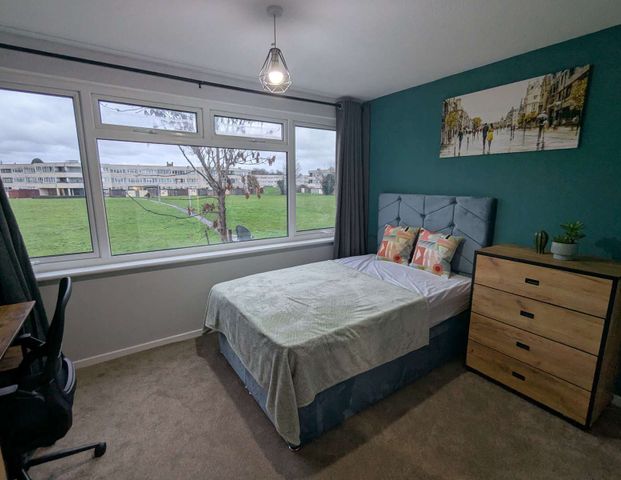 Saxonbury Close Room 3 - Photo 1