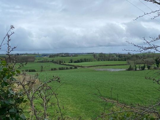 The Steadings, 21 Ballyreagh Road, Newtownards, BT23 8SJ - Photo 1