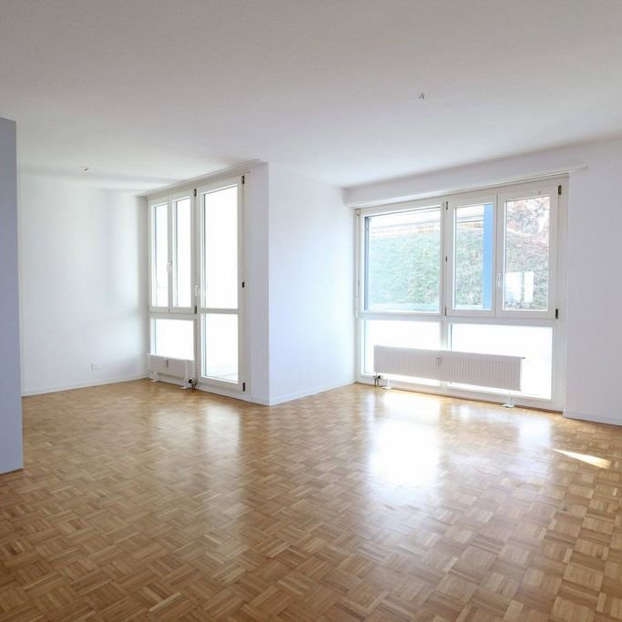 3.5 Zimmer, 72 m², EG - Foto 1