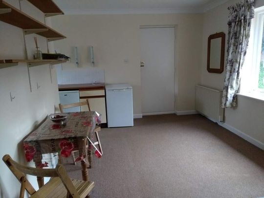 Studio Flat, Lingdale Place, SO17 - Photo 1