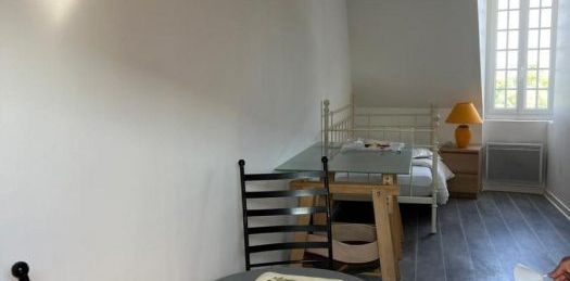 Appartement à louer, 1 pièce - Angers 49100 - Photo 2