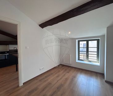 Location Appartement 3 pièces 52m² VILLEFRANCHE SUR SAONE 69400 - Photo 2