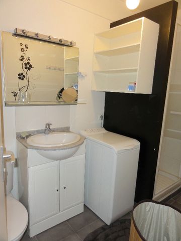 Location Appartement 1 pièce 29m² - Photo 5