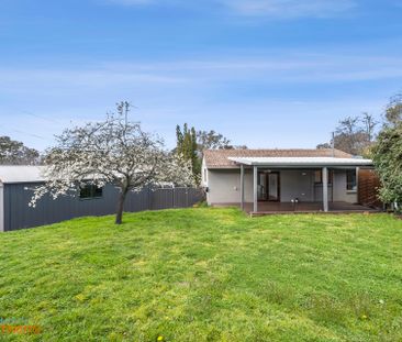 19 Lutana Street, Lyons ACT 2606 - House For Rent | Domain - Photo 4