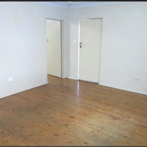 Great location- freshly painted and New blinds - Photo 2