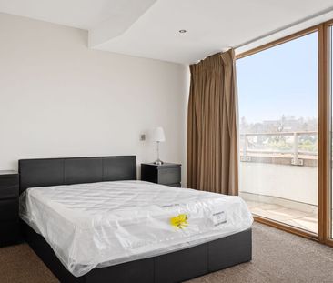 Booterstown Wood, Booterstown, Co. Dublin, - Photo 6