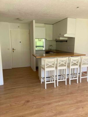 2.5 Zimmer, 50 m², 1. Stock - Photo 1