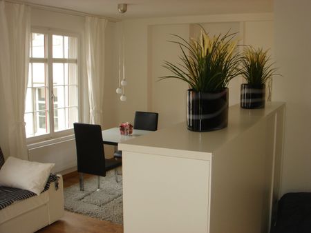 Eine kleine «schmucke» Wohnung mitten im Zentrum Schaffhausen - Photo 4