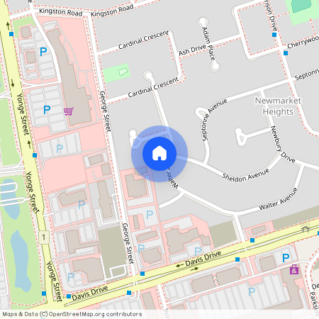 87 Walter Avenue Unit# MAIN, Newmarket