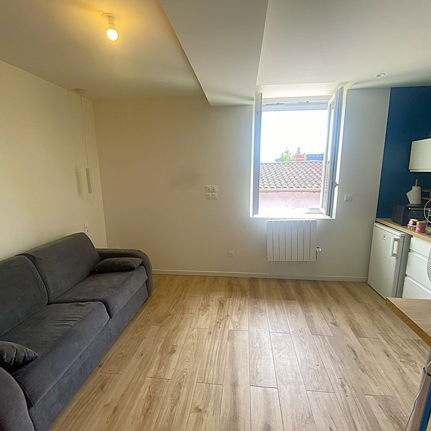 Location Appartement 1 pièce 19m² VILLEFRANCHE SUR SAONE 69400 - Photo 1