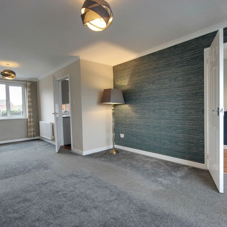 3 Bedroom - Photo 1