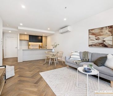 119/39 Mcintyre Street, Narrabundah ACT 2604 - Apartment For Rent |... - Photo 4