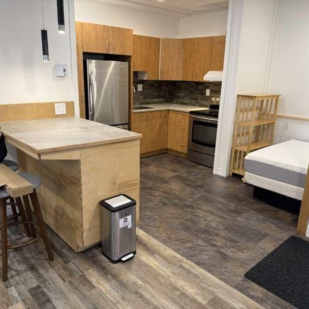 Loft meublé haut de gamme à louer – secteur recherché de Sherbrooke - Photo 3