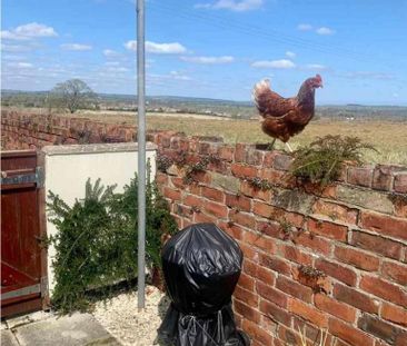 2 bedroom terraced house to rent - Photo 6