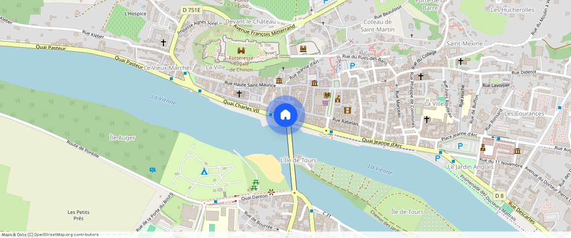 Chinon (37500)