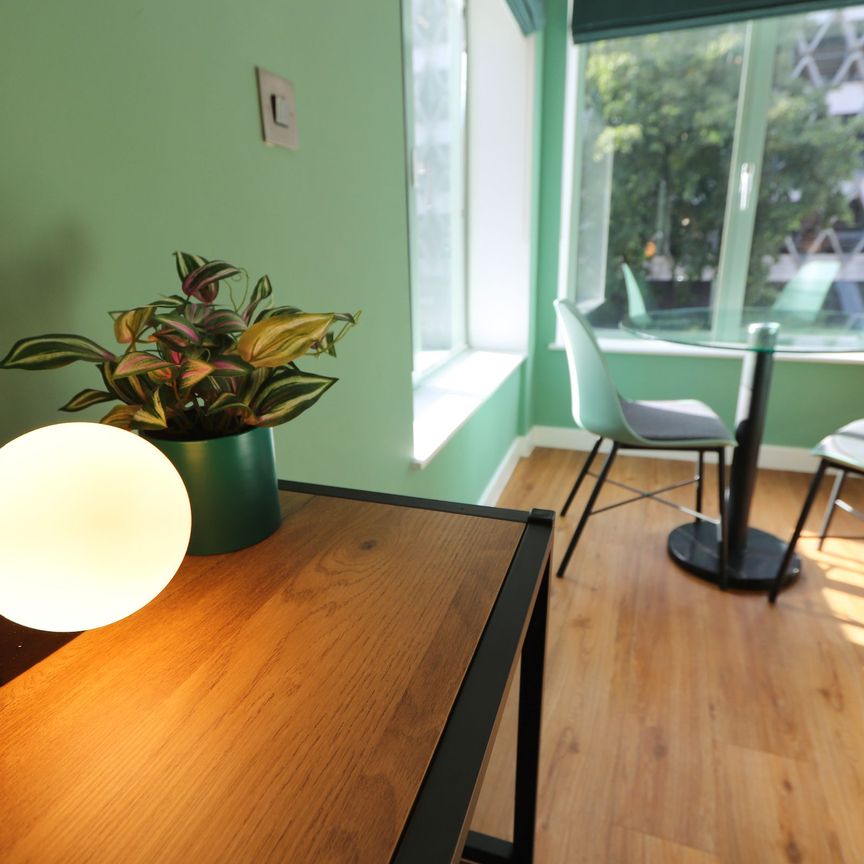 Studio Apartment – To Let - Photo 1