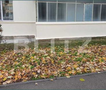 Apartament de 2 camere, 45 mp, zona Calea Severinului - Fotografie 3