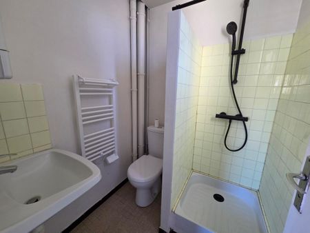 Location Appartement 1 pièce 21m² LA VILLE DU BOIS 91620 - Photo 3