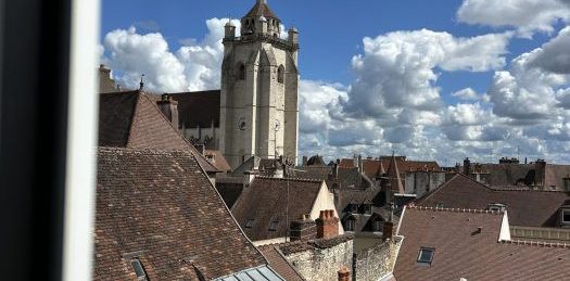 T1 MEUBLE RENOVE COMME NEUF HYPER CENTRE VILLE - Photo 2