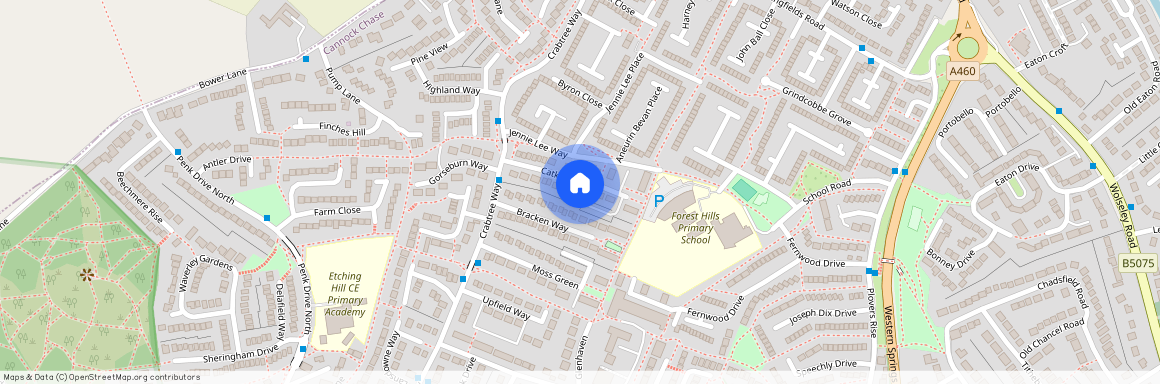 Catkin Walk, Rugeley