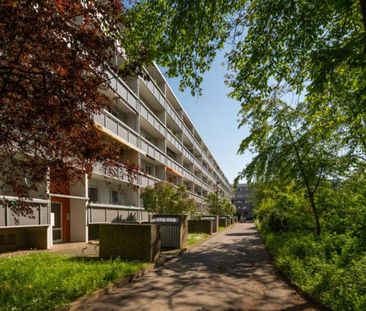 Singlewohnung im schönem Blumenviertel in Halle-Neustadt - Foto 2