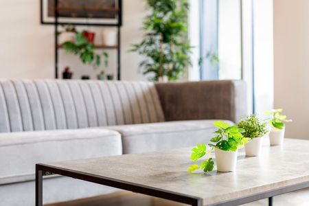 Bollo Lane - Photo 5