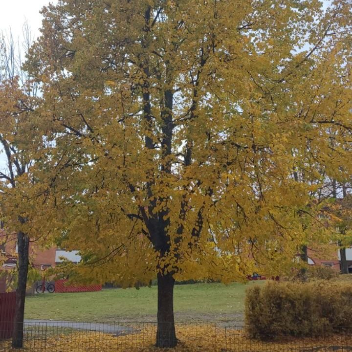 Råssnäsvägen, Motala - Photo 2