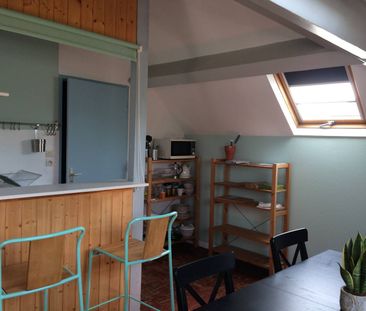 Appartement T1 Meublé (Vue sur l'Erdre) - Photo 6