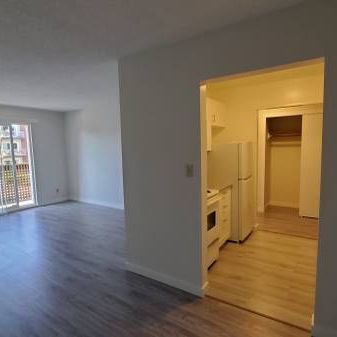 Renovated 1-Bed 1-Bath Unit in Mount Pleasant - Photo 1