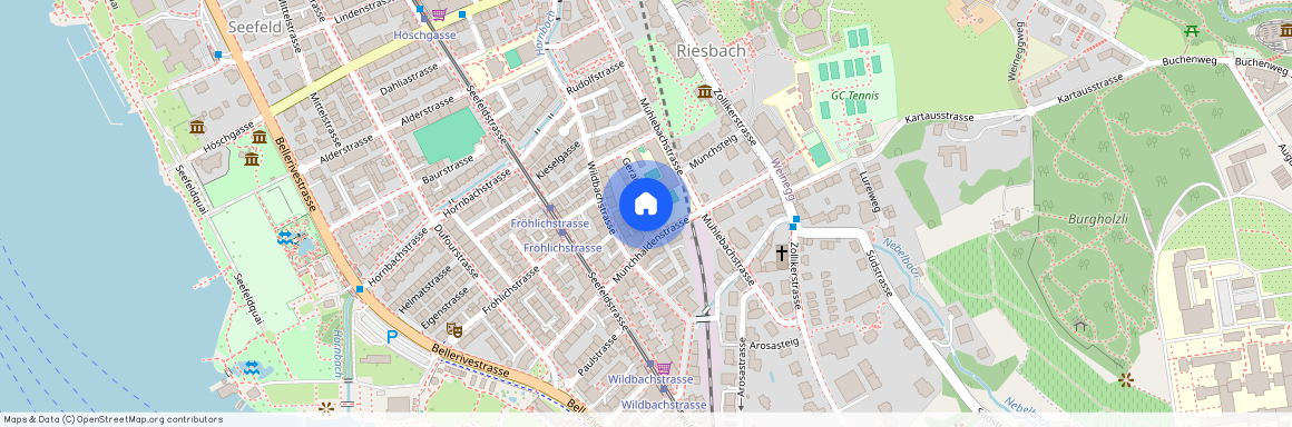 12 Geranienstrasse, 8008 Zürich