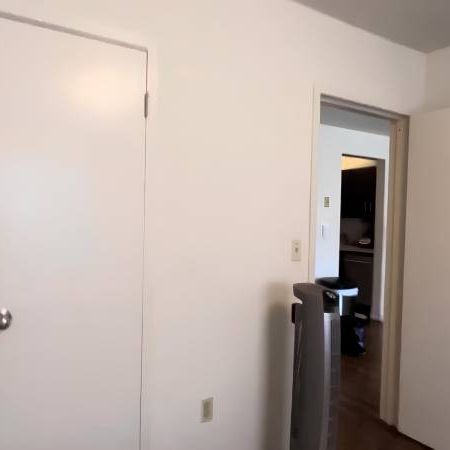 Updated 1 BED/1BATH Corner Suite in Popular Kitsilano Area - Photo 4