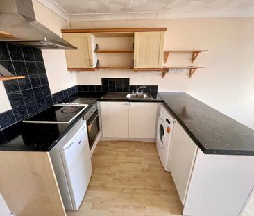 Canton Court - Photo 5