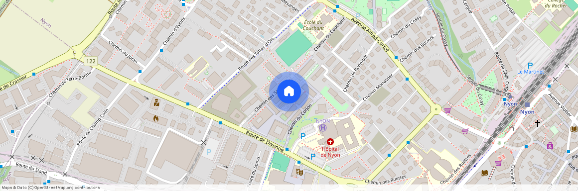 Chemin des Saules 20B, 1260 Nyon