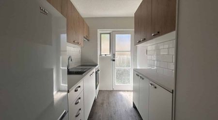 Renovated & Ready to Rent - Photo 2