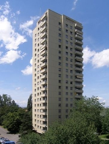 3 ½ Zimmer-Wohnung in Birsfelden mieten - Foto 2