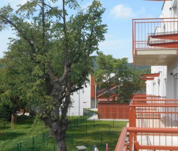 Grottenhofstraße sonnige 2ZI mit 9m² Süd/Balkon ruhig,hochwertig - Photo 4