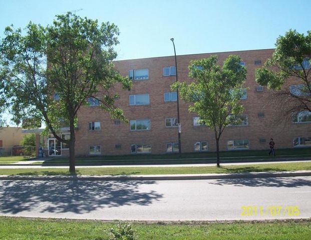 234 Moray Street | 234 Moray St, Winnipeg - Photo 1