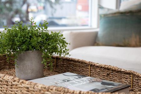 Central New Plymouth Apartment - Photo 4